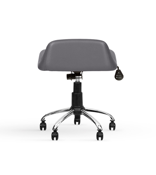 تصویر صندلی آزمایشگاهی D80