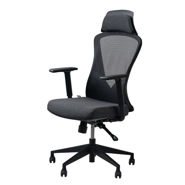 image of MSM 202 Executive Chair