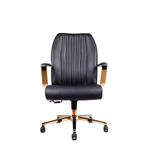 تصویر صندلی کارشناسی اسکار E2040G