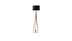 image of Mandarin floor light