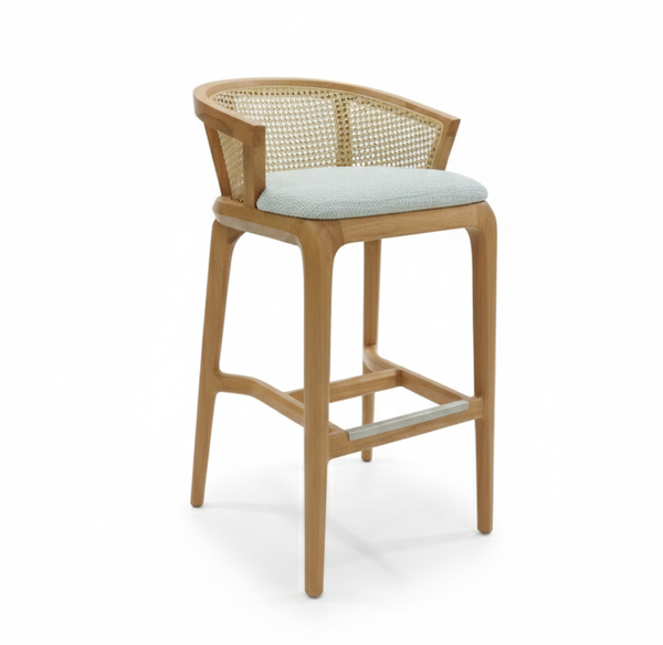 تصویر صندلی بار اسنو تصویر صندلی بار اسنو