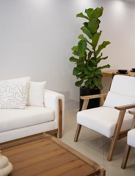 image of Kaliko sofa set