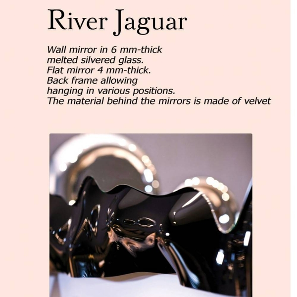 تصویر دیگری از آینه River Jaguar