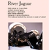 تصویر آینه River Jaguar