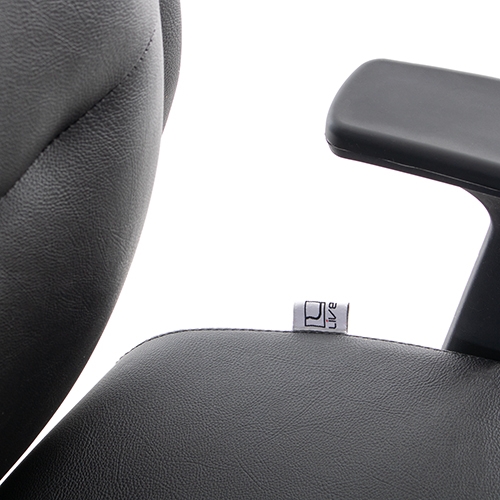 تصویر صندلی مدیریتی P91