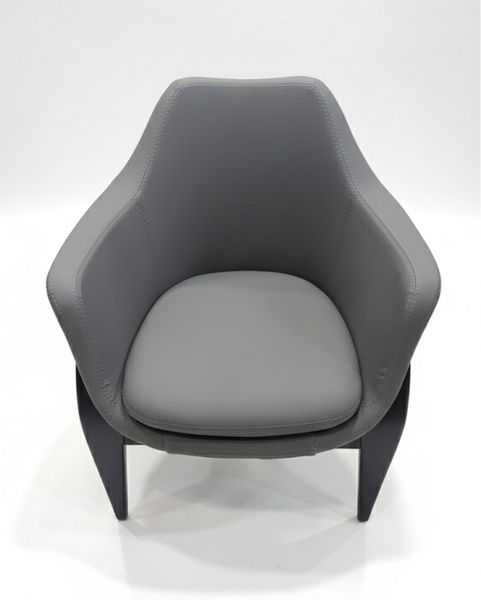 تصویر مبل تک نفره دومان