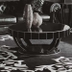 image of AN J031Coffee Table