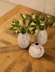 image of Elma coffee table