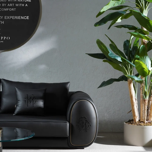 image of Cavalli sofa set for 8