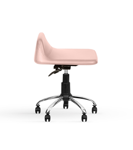 تصویر صندلی آزمایشگاهی D80