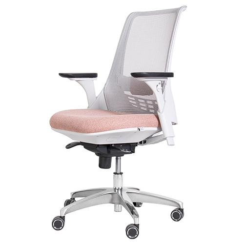 تصویر صندلی کارشناسی X81gsp