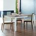 image of Salooni Dining Chair