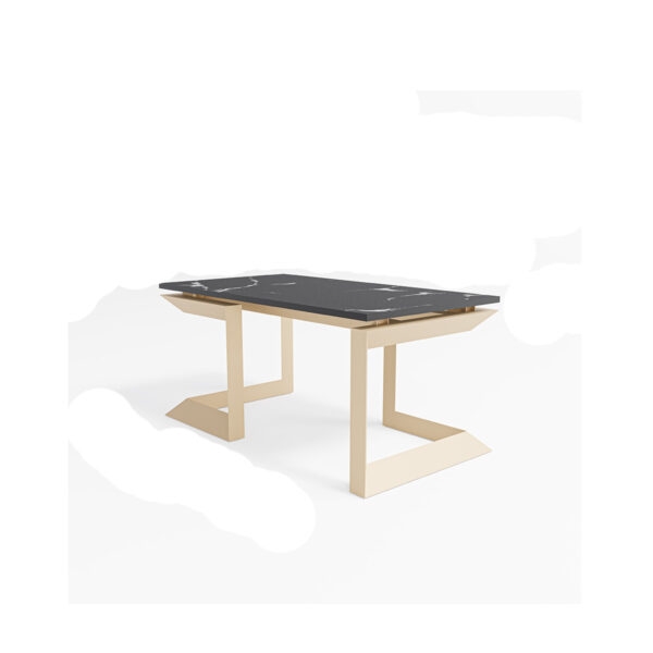 تصویر میز جلو مبلی دو پایه فلزی Golden Nova مدل T2