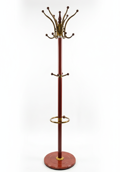 تصویر جالبترین ایستاده Z6