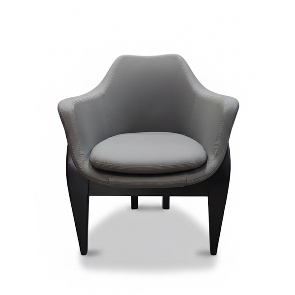 تصویر مبل تک نفره دومان