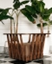 image of Avina single sofa