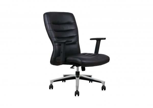 تصویر صندلی کارشناسی گنو تصویر صندلی کارشناسی گنو