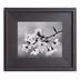 image of Black and white flower