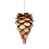 image of Pine light