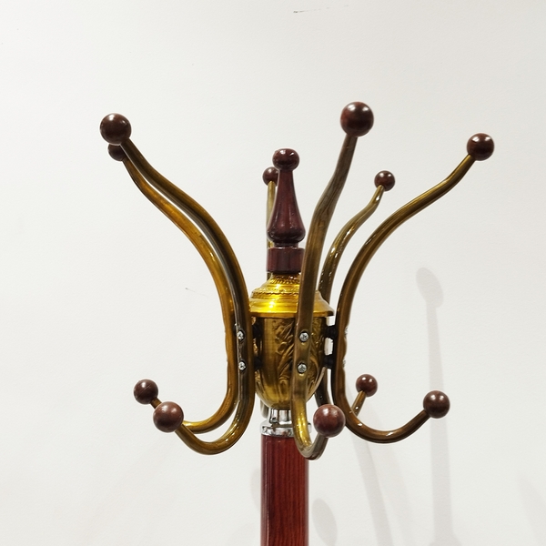 تصویر جالبترین ایستاده Z6