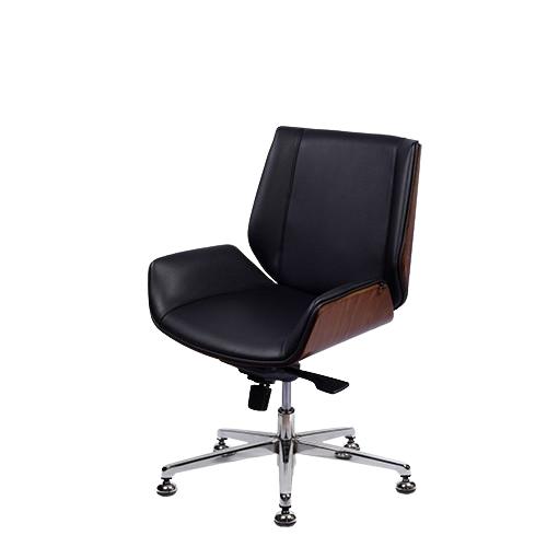 تصویر صندلی کارشناسی دراما E2080WF تصویر صندلی کارشناسی دراما E2080WF