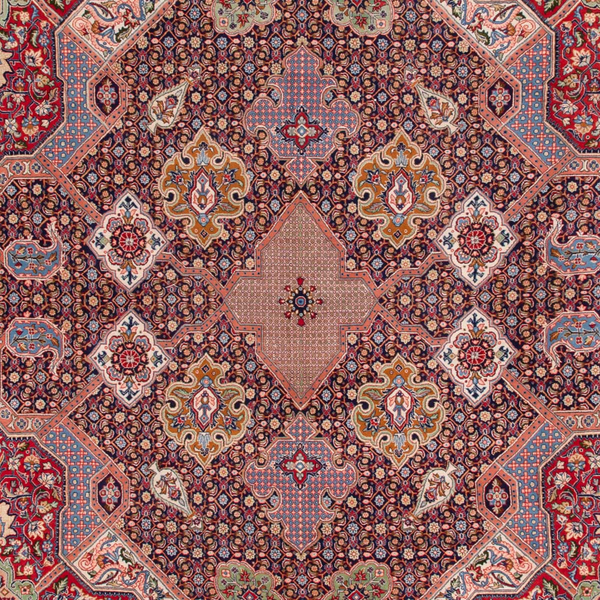 image of