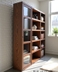 image of RO bookcase with door
