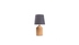 image of Howlite light