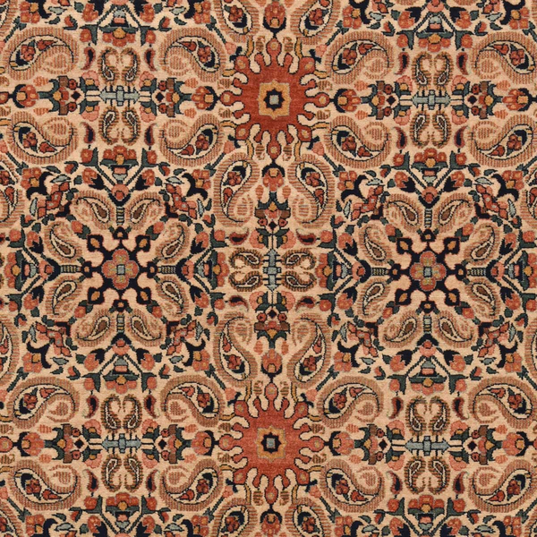 image of