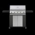 image of Ignite Gas Barbecue 101