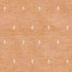 image of Damask Folio
