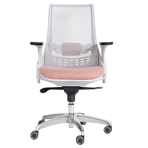 تصویر صندلی کارشناسی X81gsp