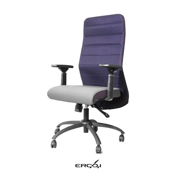 تصویر صندلی کارشناسی ۳۳۱۰