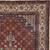 image of
