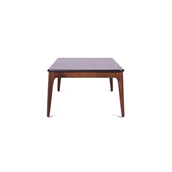 image of Rayan Coffee Table-wooden surface