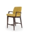 image of Shabnam bar chair with armrest