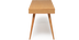 image of Enzo Desk