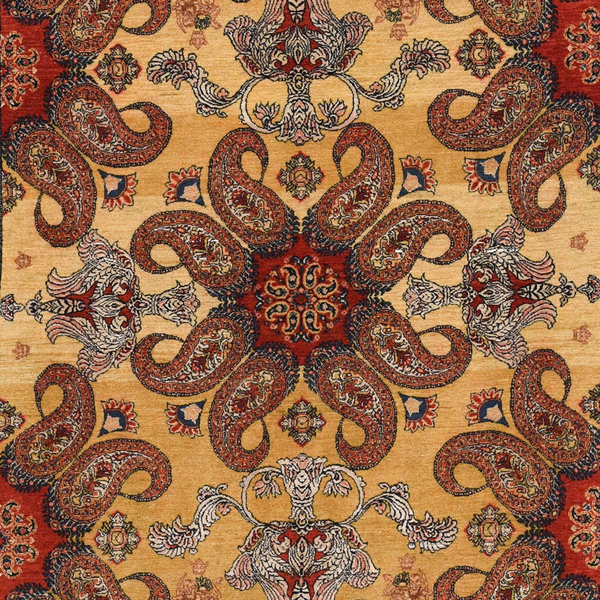 image of