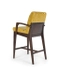 image of Shabnam bar chair with armrest