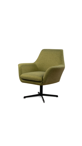 تصویر تورین