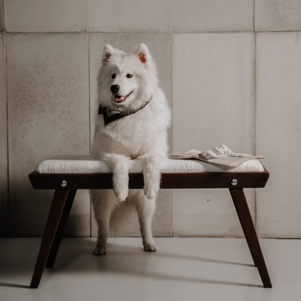 تصویر نیمکت چوبی کام فورت