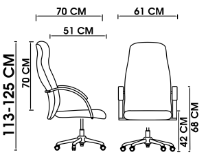 تصویر صندلی معاونتی لوشو A260