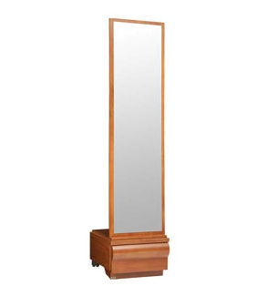 image of Diplomat standing mirror