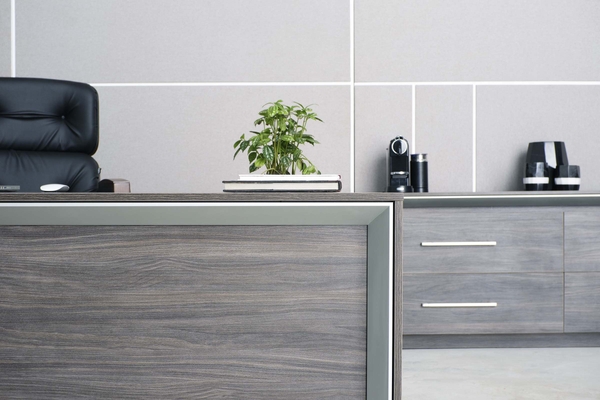 تصویر کردنزا ECr300