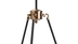 image of Onix small light