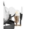 image of Onix large light