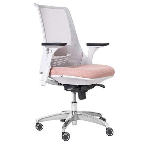 تصویر صندلی کارشناسی X81gsp