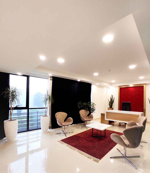 image of Petal Chair