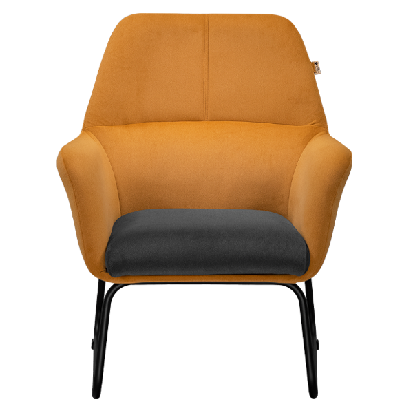image of Dorna Armchair code 204