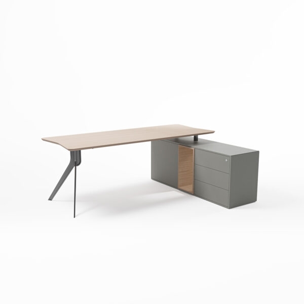 تصویر میز کارشناسی Swan مدل EL